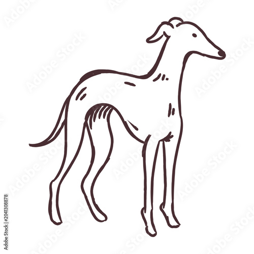 Εκτύπωση καμβά Elegant whippet dog standing hand drawn sketch
