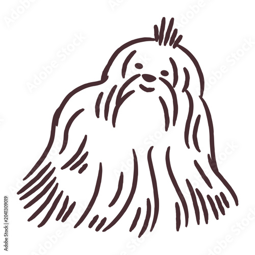 Foto Cute long haired shih tzu dog sketch