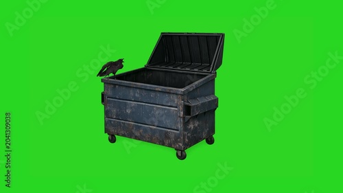 Raven perched on a trash dumpster green screen