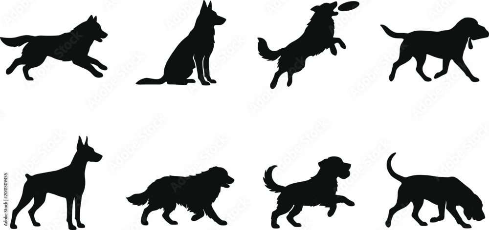 Obraz premium Professional set of dog silhouettes in various poses including running jumping sitting and walking for pet care and branding