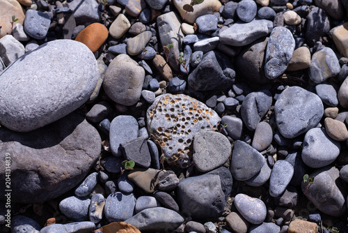 Schilderij op canvas Riverbed Stones Along Bighorn River