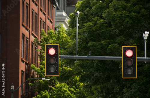 Red Traffic Lights and Urban Greenery in Seattle