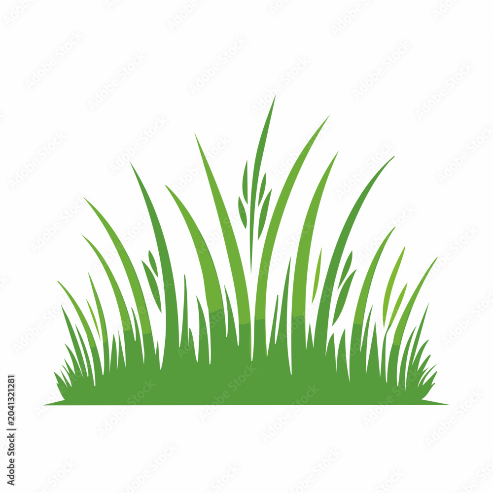 Fototapeta premium Green Grass Illustration