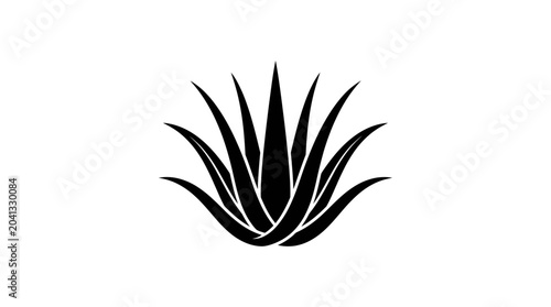 Black agave plant leaf logo symbol.