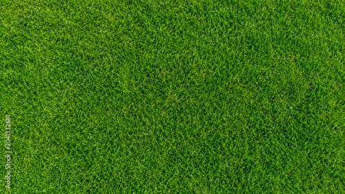 Green grass texture close up with background greenery abstract backdrop material vegetation recreation environment