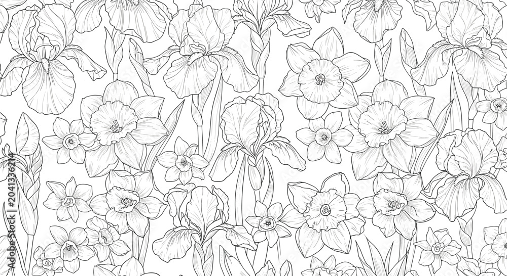 Fototapeta premium Dense floral pattern featuring a detailed black and white line drawing of iris and narcissus flowers in a garden meadow.