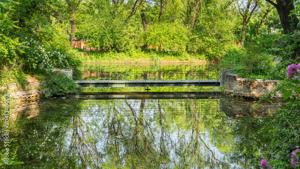 Fototapeta premium Summer green gardens, lakes, bridges, and ecological scenery