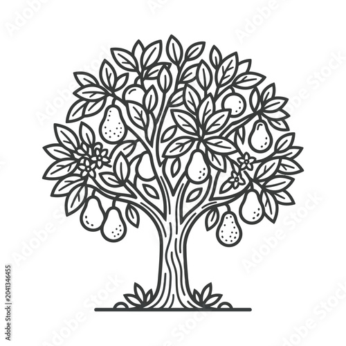 Fotografie Mature pear tree full of fruit line art.