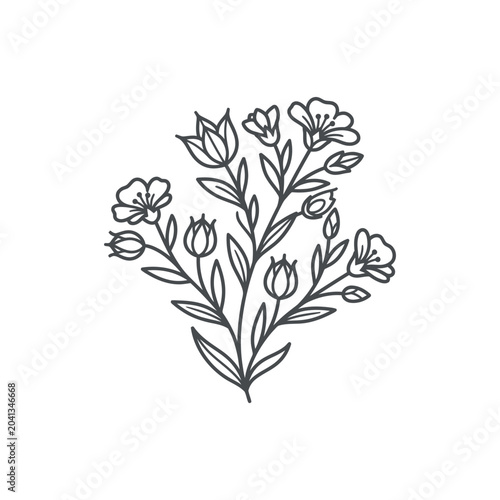 Flax plant with flowers and buds botanical line drawing.