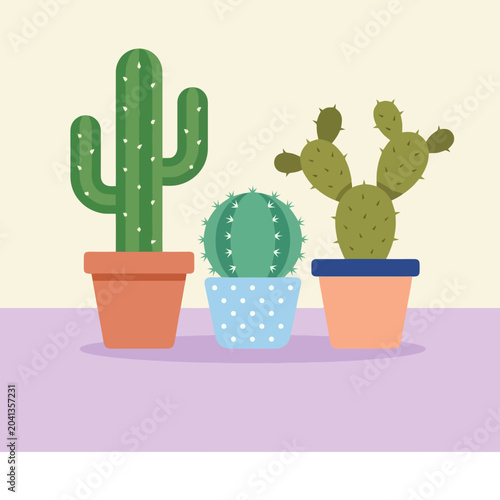 Three decorative potted cacti arranged on a flat surface area