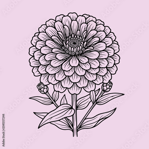 A detailed black and white line drawing of a blooming flower