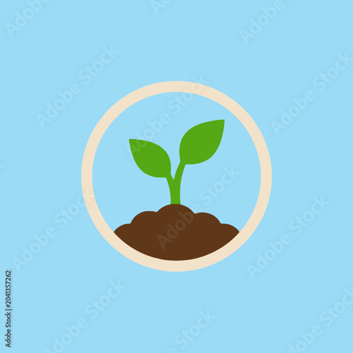 A small green plant sprout growing from dark brown soil mound