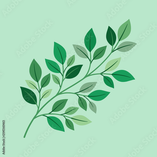 A simple illustration of a green leafy branch on background