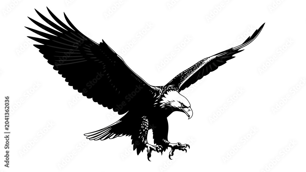 Fototapeta premium American Bald Eagle in Flight Silhouette.