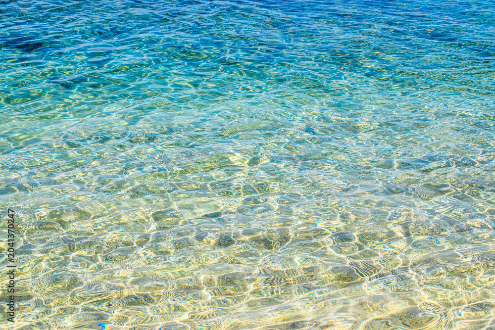 Fototapeta premium coral reef in the blue sea