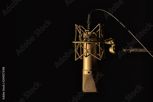 condenser mic with a shock mount in a recording studio