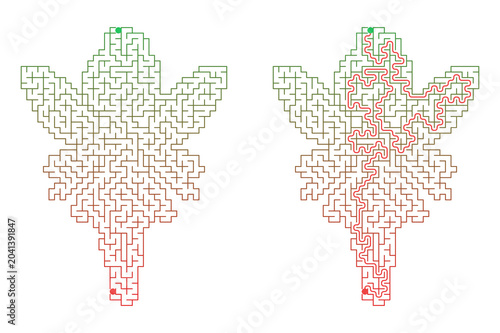 Fairy shaped maze for kids activity with solution puzzle