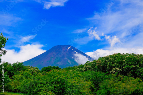 木々の緑と夏山の富士山