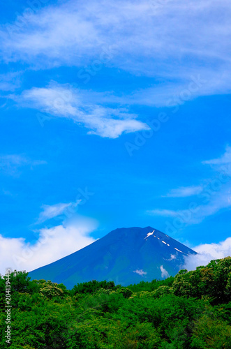 木々の緑と夏山の富士山