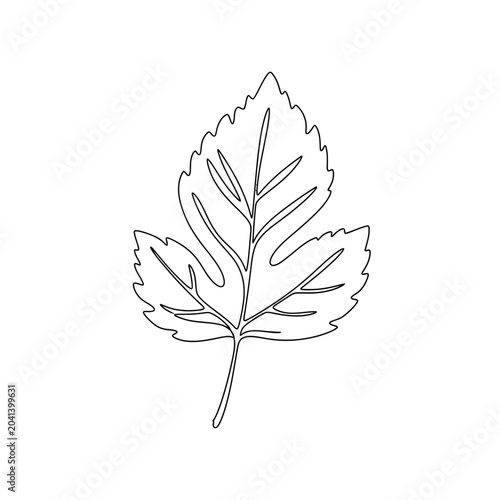 Minimalist leaf outline illustration ? single line art design