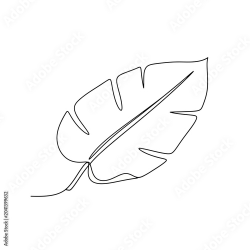 Minimalist Leaf Outline Illustration - Contour Drawing on White
