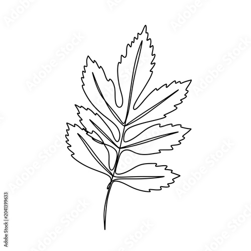 Minimalist Leaf Outline Illustration - Nature Line Art Vector