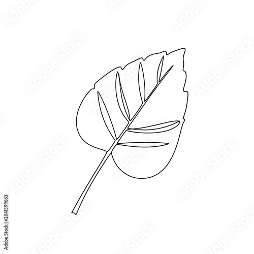 Minimalist leaf outline illustration, botanical element on white