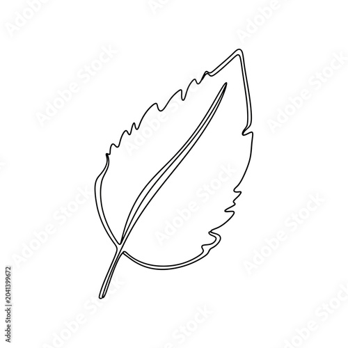 Minimalist Leaf Outline Illustration on White Background