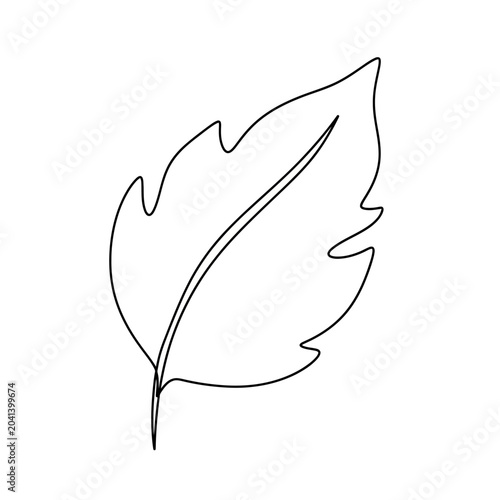 Minimalist Leaf Outline Illustration on White Background