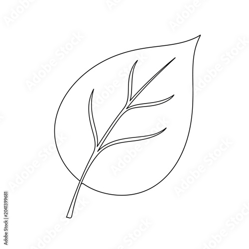Minimalist leaf outline illustration, monochrome design vector