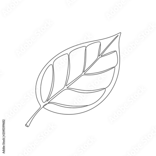 Minimalist Leaf Outline Illustration on White