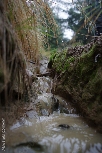 Vertical macro photo of muddy rain water rushing through mountain ditch with green wet grass stalks and heavy droplets during autumn storm.