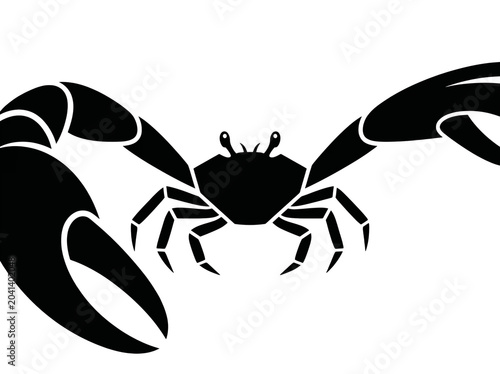 Black and White Minimalist Spider Illustration on Clean White Background