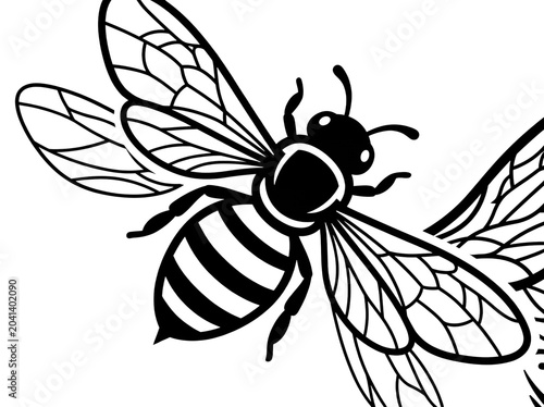 Black and White Bee Flying on Transparent Background Minimalist Illustration