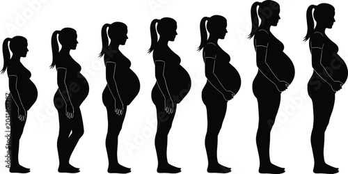 Pregnancy Progression Silhouettes Week-by-Week Stages of Pregnant Woman Body Changes for Healthcare Design