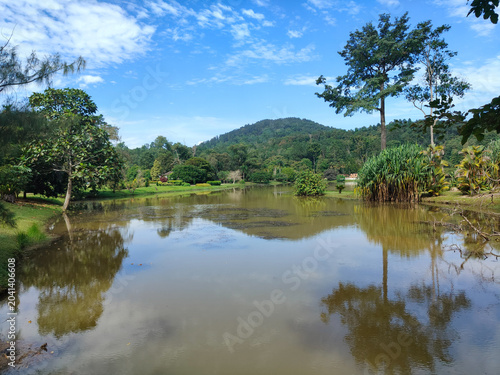 Photography Tropical Lake Reflection Surrounded by Rainforest Landscape inat Kepong Botanic Gardens  (Taman Botani Kepong ),  Kuala Lumpur, Malaysia