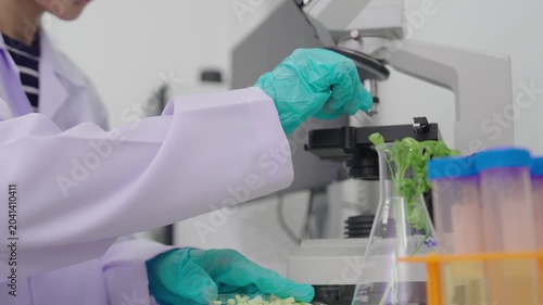 Laboratory quality control testing by food scientists and microbiologists involves analyzing vegetable samples using microscopes and clipboards, while laboratory technicians use them.