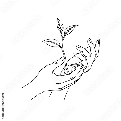 Minimalist Hand Holding Plant Line Art on White