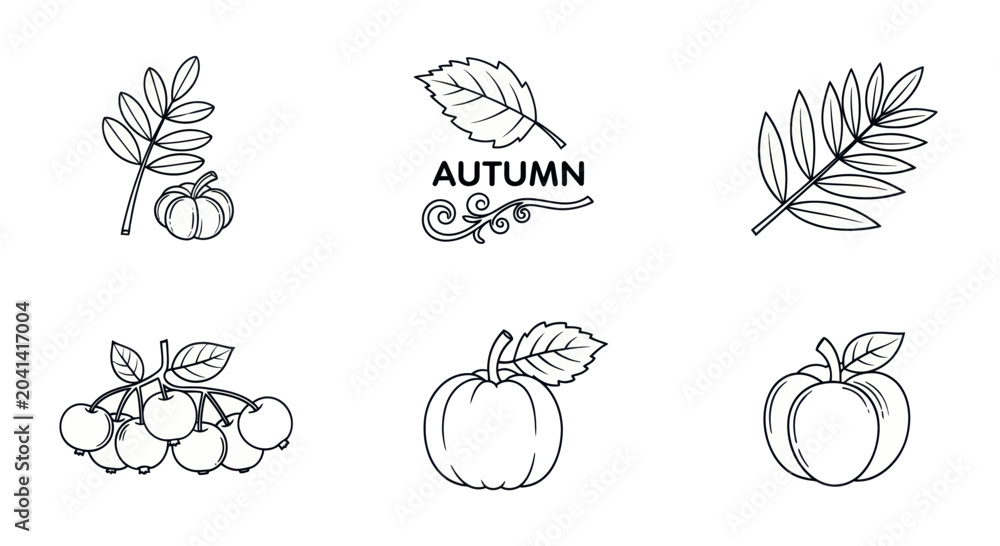 Fototapeta premium Autumn themed line art featuring leaves and pumpkins. Perfect for seasonal designs and illustrations.