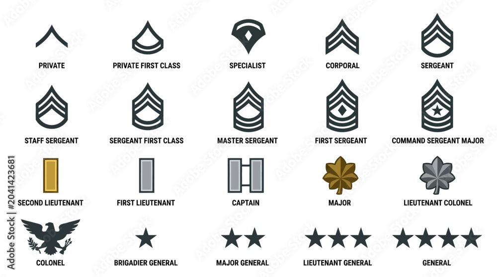Obraz premium Military ranks insignia illustration, army officer badges