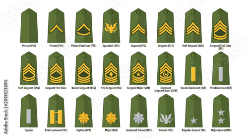 Military ranks insignias, army uniform illustration on white