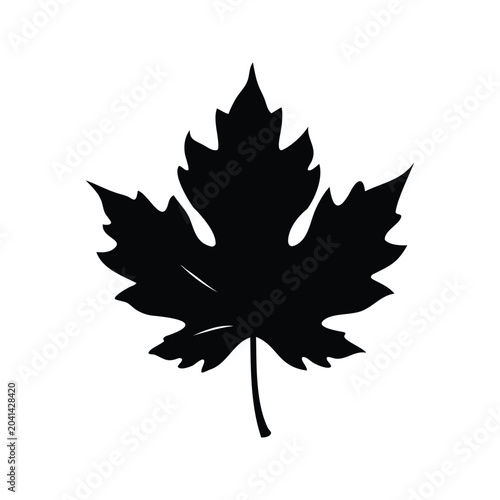 maple leaf with detailed veins and serrated edges silhouette vector illustration, palmate leaf silhouette vector illustration