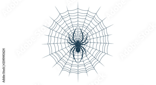 Fotografía Black spider in a web center.