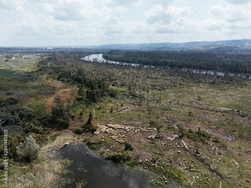 Foto Aerial view of hurricane damaged forest near river in Serbia, fallen trees and environmental destruction