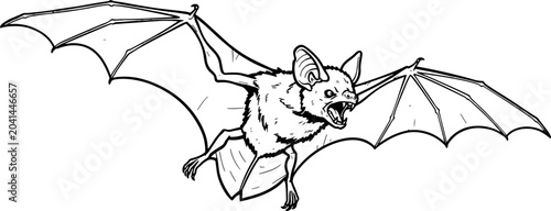 Frightening Bat Flying, Black and White Line Art Illustration