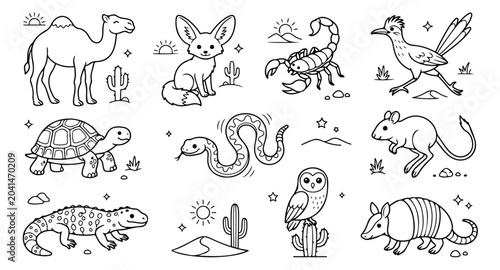 Cuadro en lienzo Desert animals line art collection, cute wild animal icons set for coloring book