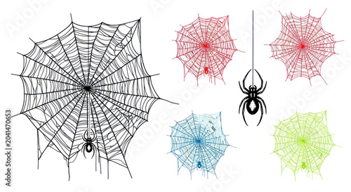 Photos Colorful spider web and spiders.