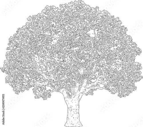 Monochrome of a detailed tree with intricate branches black white
