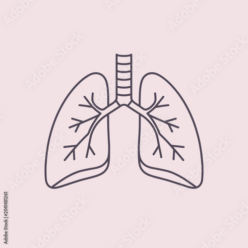 Anatomical illustration of the human lungs in a simple, minimalist style