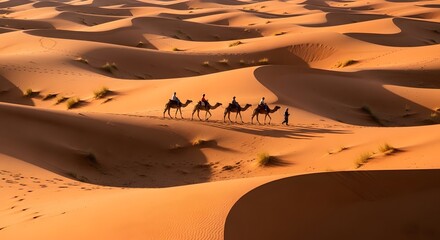 Desert camel trek at sunset
